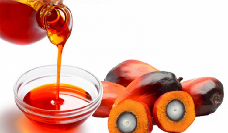 <p>oil</p>